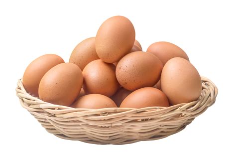 EGG .